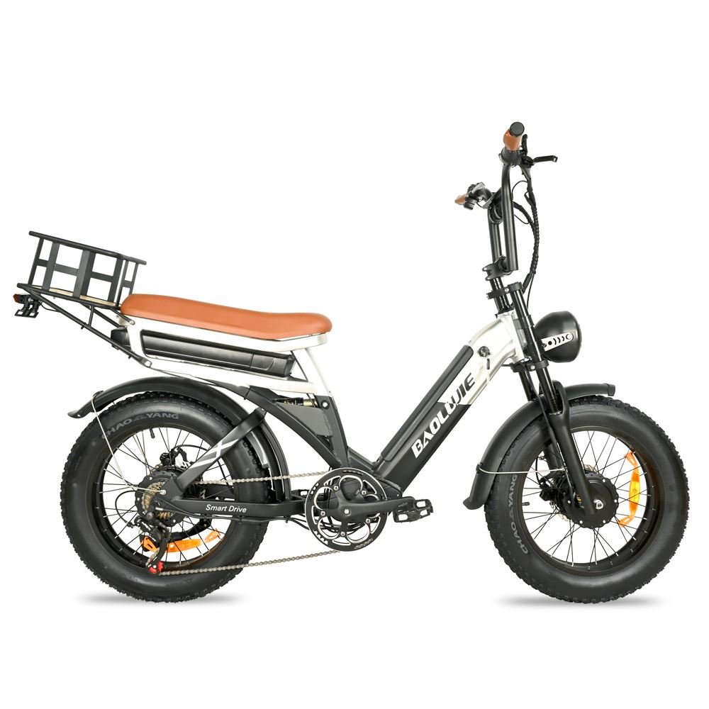 ENGWE M20 750W Road Electric Bike Full Suspension Electric Mountain Bike Two Battery Electric MTB Cycle