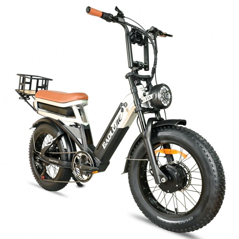 ENGWE M20 750W Road Electric Bike Full Suspension Electric Mountain Bike Two Battery Electric MTB Cycle