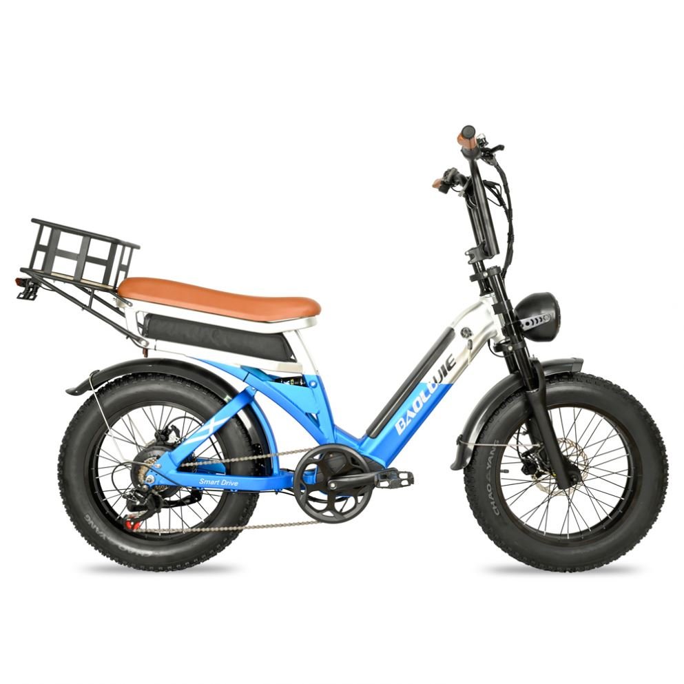 ENGWE M20 750W Road Electric Bike Full Suspension Electric Mountain Bike Two Battery Electric MTB Cycle