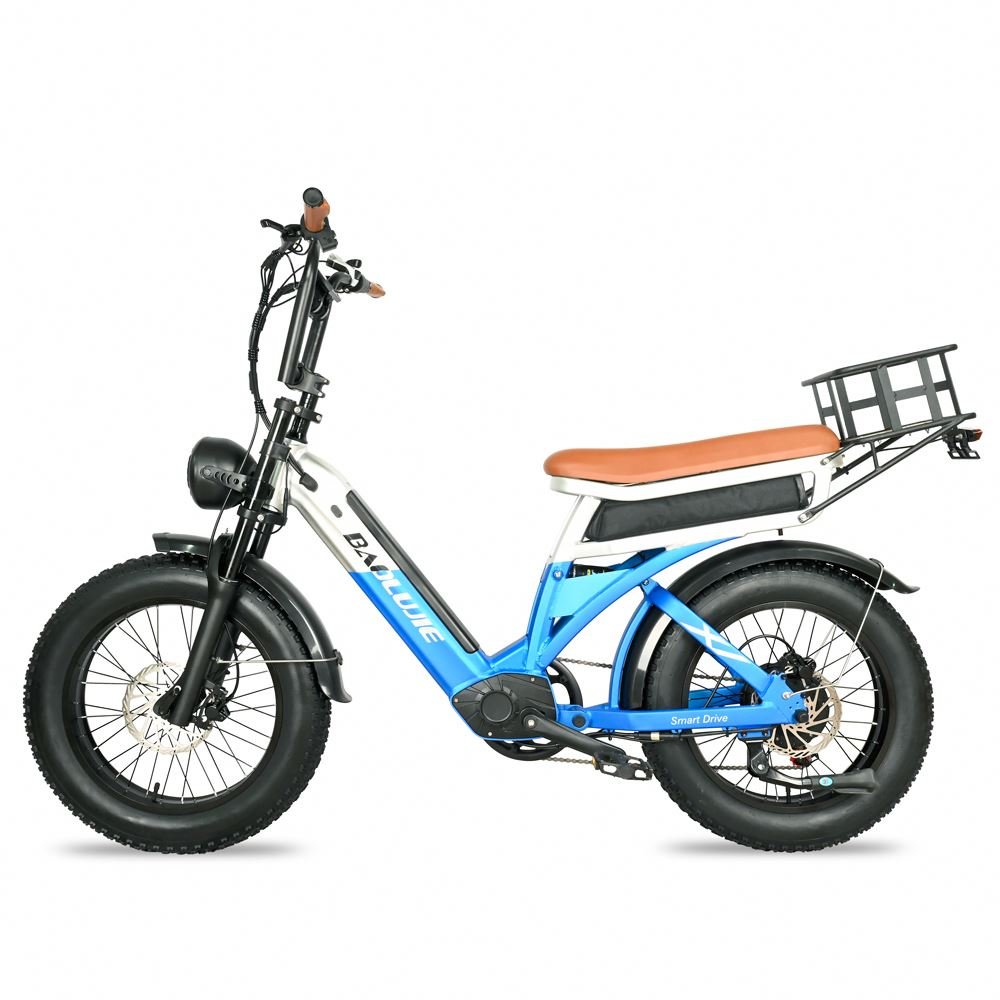 ENGWE M20 750W Road Electric Bike Full Suspension Electric Mountain Bike Two Battery Electric MTB Cycle