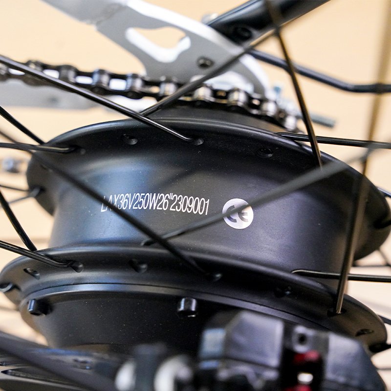 36V 26inch 250W 10AH Lithium battery disc brake Electric city e bikes City electric bike for women