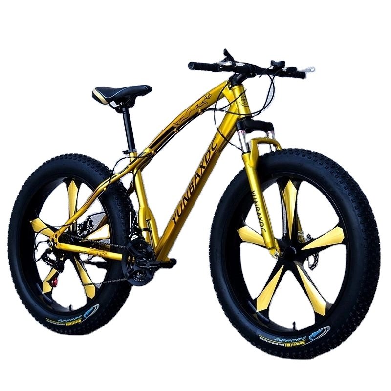 China factory 24 speed 26/27.5/29 inch fat bicycle big tire mountain bike adult