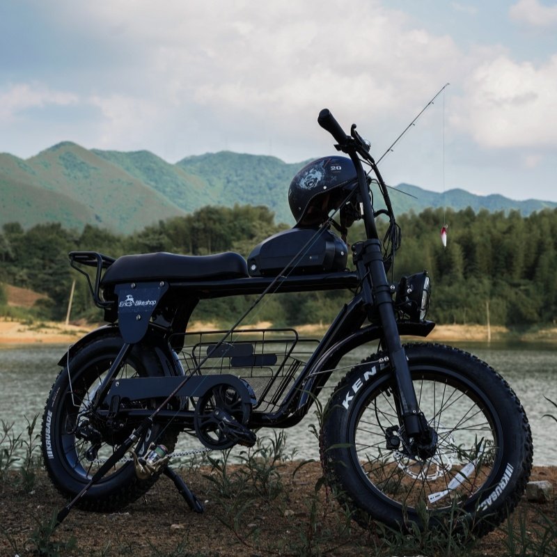 Factory Wholesale Aluminum Alloy Battery Lithium 48v 750w Bicycle Fat Tire Bike Electric Mountain Bike