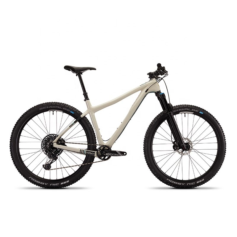 Hot sale high quality cheap price 29 inch 29'' 29er speed can custom carbon fiber frame mountain bike mtb bicycle