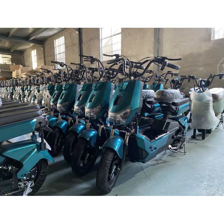 High-power Hot Sale Popular Design Electric Bicycle multifunctional City two-wheeled two-Seater long range Electric Adult Bike