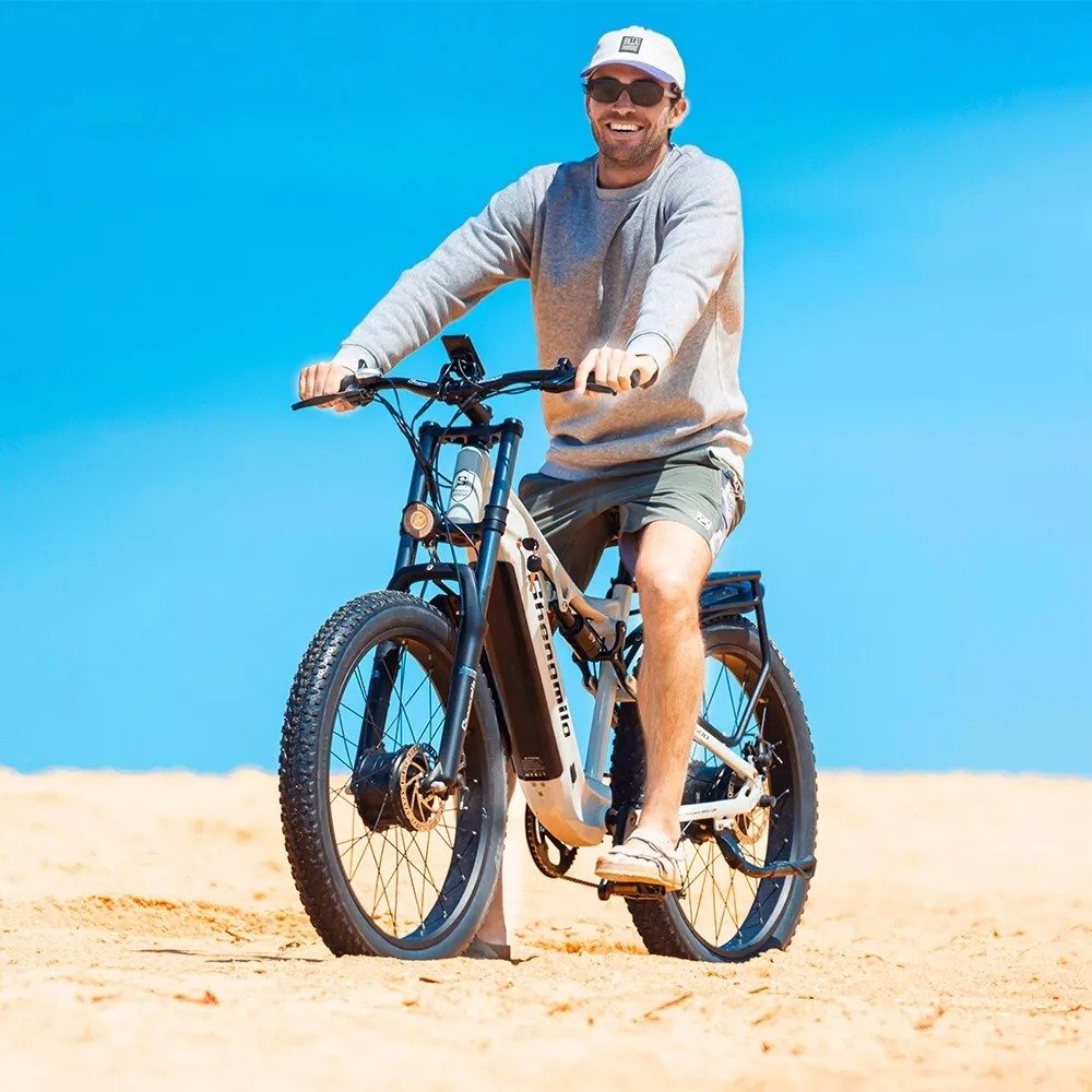 EU Warehouse City Commuter Dual Motor E Bikes 48V 2000W 18AH Fat Tire Electric Mountain Bicycle Adult Electric Bike