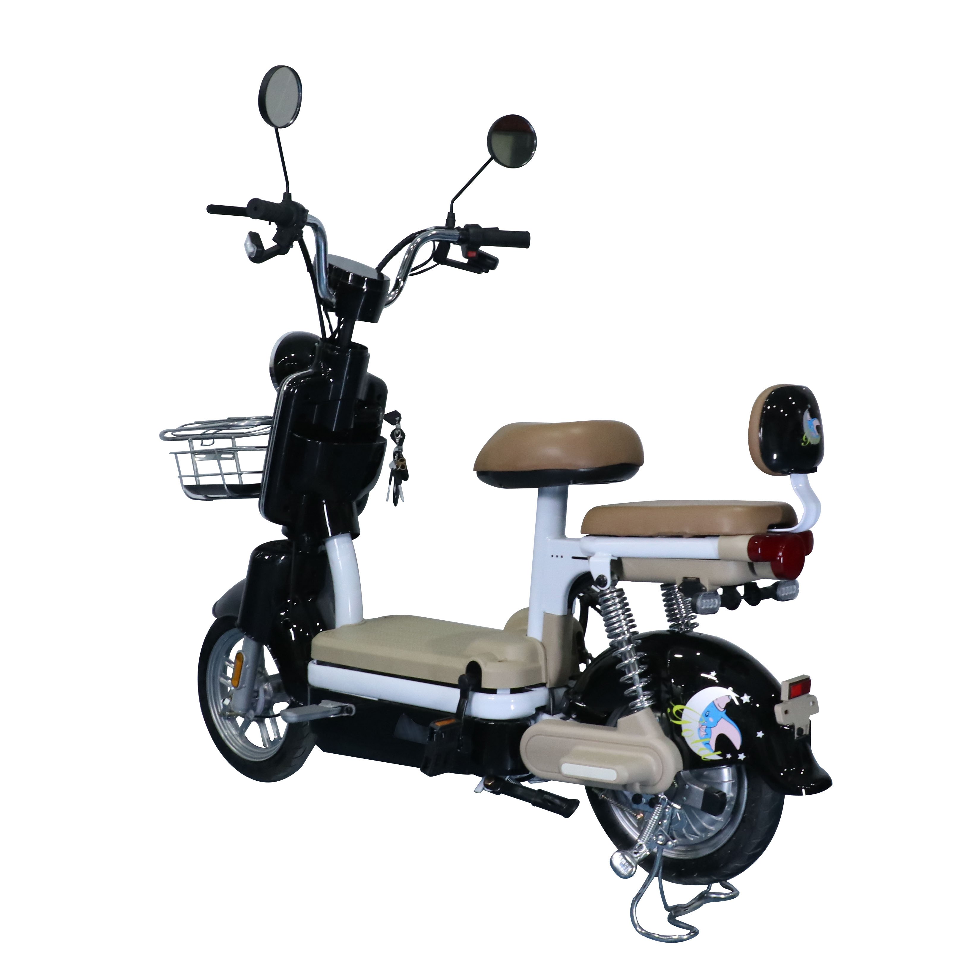 Hot sale factory electric bike 350W 48V 12AH Electrically City Bike Direct Sales E Bike Bicycle with basket and fat tire e-bike