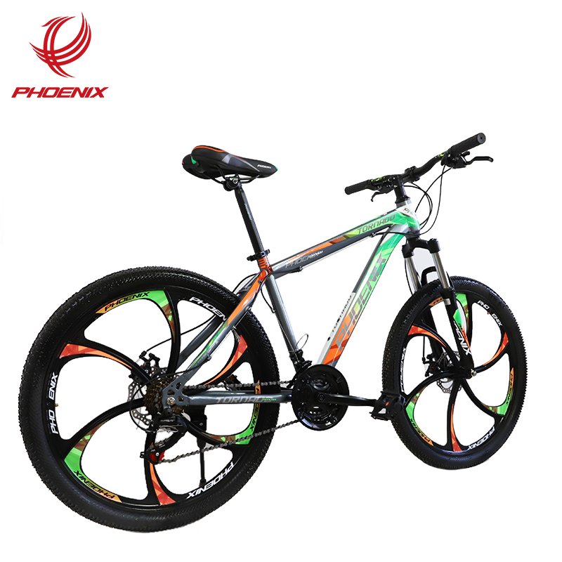 Phoenix 26 ''21 Speed Aluminum Alloy Mountain Bike Dual Disc Brake Fashionable Mountain Bike