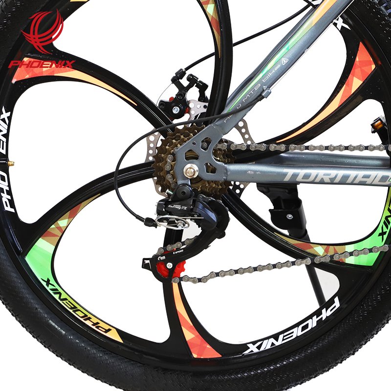 Phoenix 26 ''21 Speed Aluminum Alloy Mountain Bike Dual Disc Brake Fashionable Mountain Bike