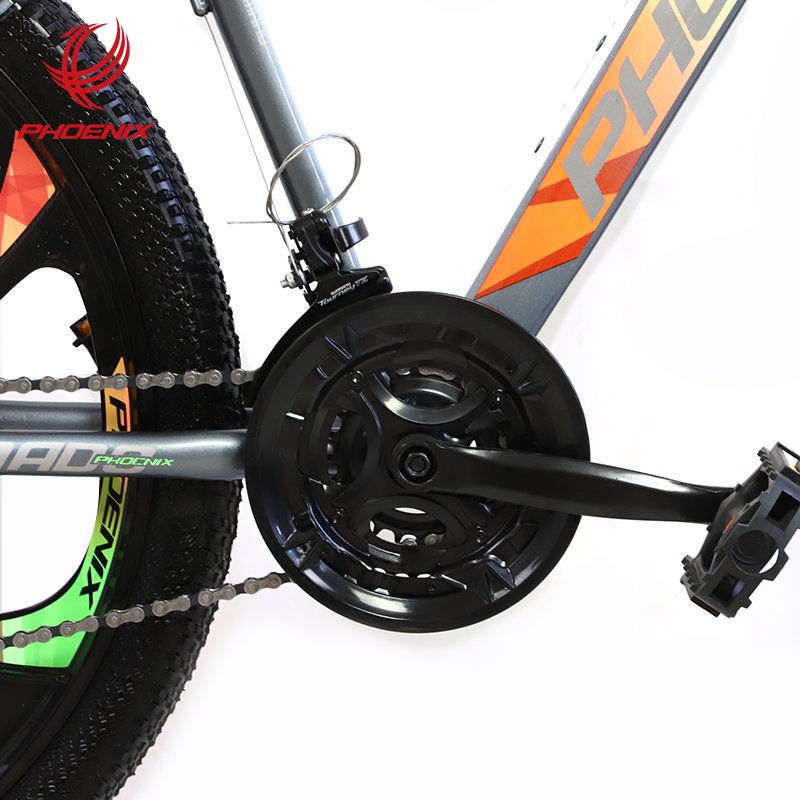 Phoenix 26 ''21 Speed Aluminum Alloy Mountain Bike Dual Disc Brake Fashionable Mountain Bike
