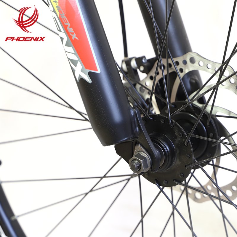 Phoenix 26 ''21 Speed Aluminum Alloy Mountain Bike Dual Disc Brake Fashionable Mountain Bike