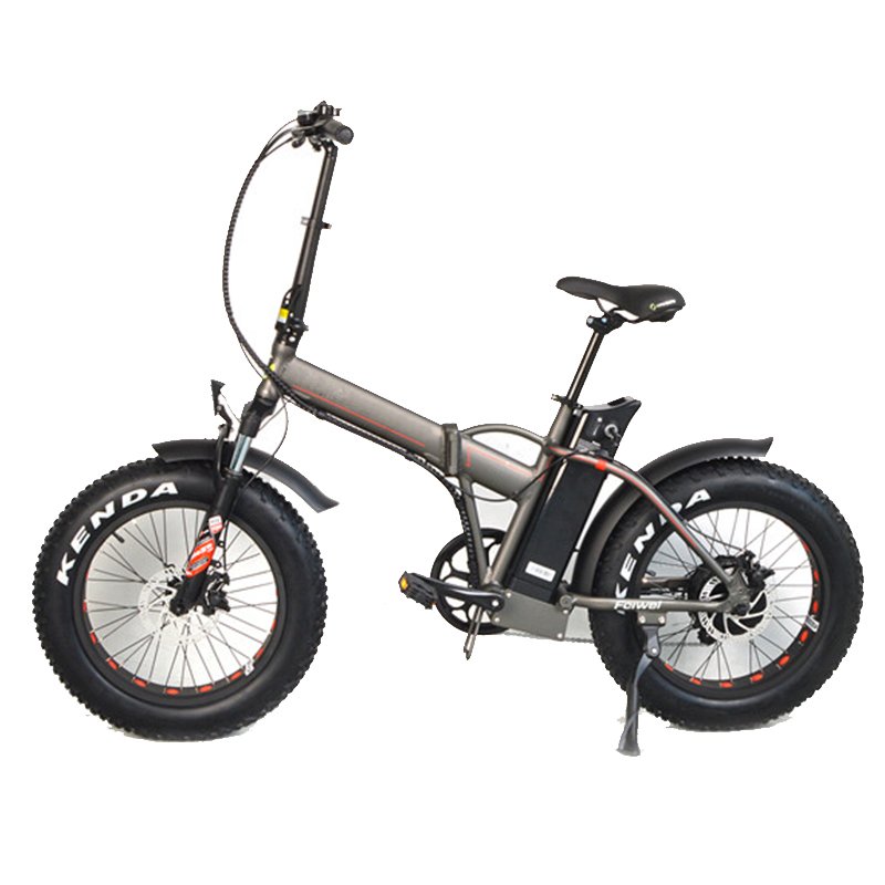 PETRIGO E Bike Wholesale Enviromental-friendly Mountain Electric Bicycle Fat Tire Motor Bike