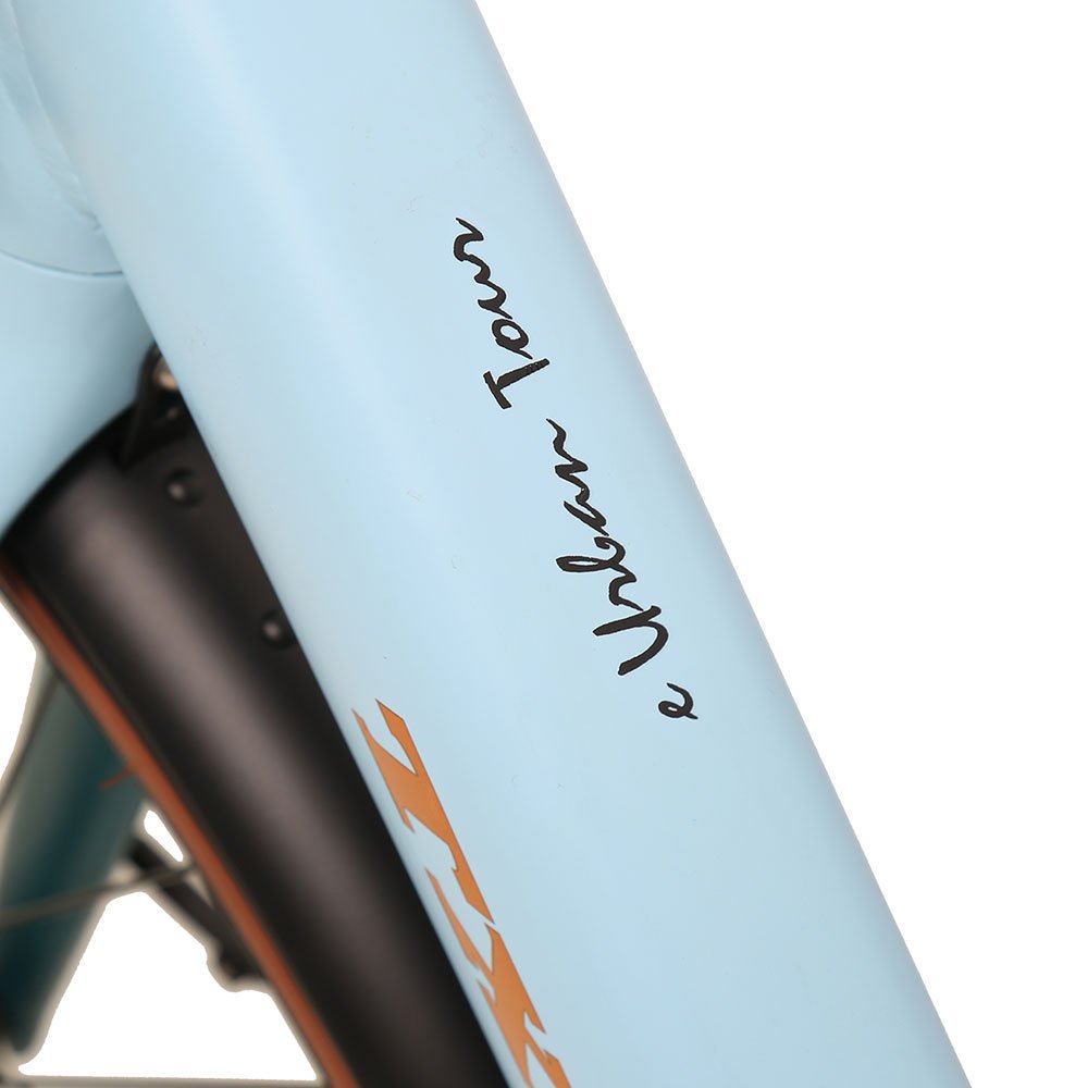 TXED new design 36V 250w ebike 10.4AH lithium battery Single speed Electric leisure city bike
