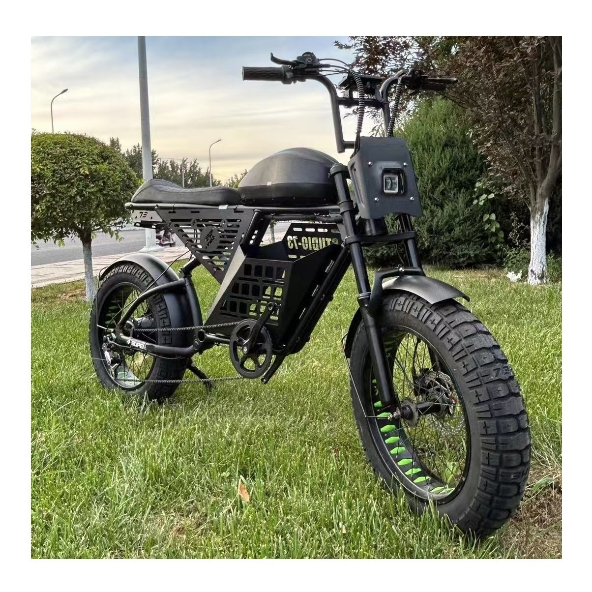 High-end Customized Motor E Bike 20 Zoll MTB Sur Ron 750W Fast Electric Motorcycle Mountain E Bike Bicycle 1000W Full Suspension