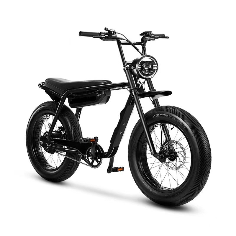 Mini Velo 500W 48V 20Ah Electric Bicycle with Lithium Battery down Tube Position Rear Hub Motor Disc Brake System for Spain