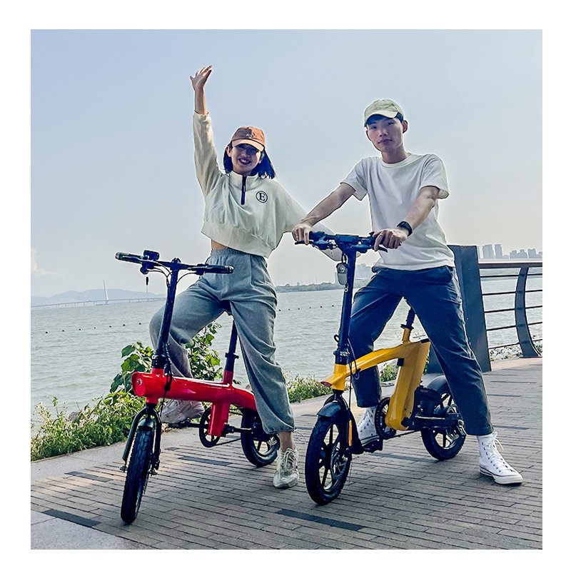 Oem 2022 New Design Other Electric Bike Electric Bicycle Ebike 36v 500w Alloy Folding Electric Road Bike