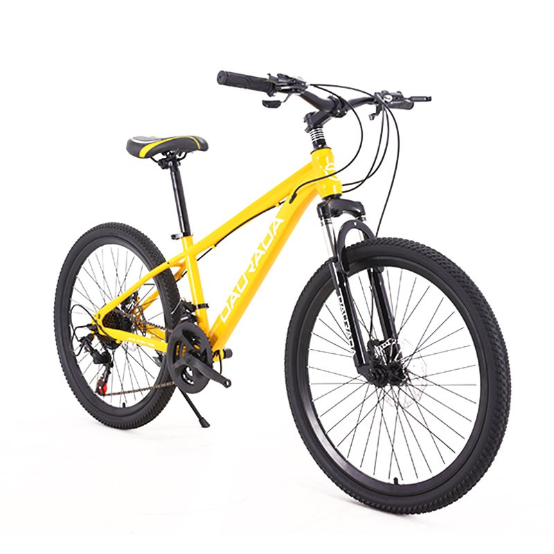 Cheap high quality newest model front suspension fork 21 speed 24 inch small mountain bike for kids 12 years