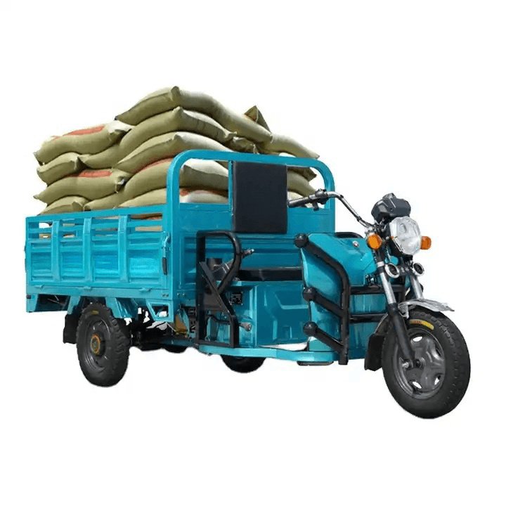 2024 Custom Logo Heavy-Duty Electric Cargo Tricycle for Adults 60v Steel Frame with down Tube Battery & Smart Sensor