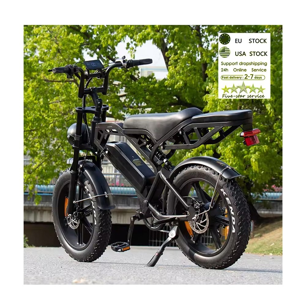 V20 fatbike eu warehouse Ebike electric Mountain bike Off-road V20 City Electric Bicycle 250W electr bike e bike