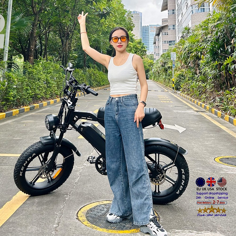 V20 fatbike eu warehouse Ebike electric Mountain bike Off-road V20 City Electric Bicycle 250W electr bike e bike