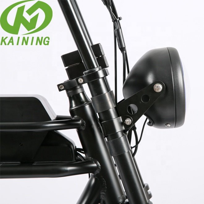 KAINING Brand TOP 2022 New Design Mountain Bike Electric Bicycle for Adult Snow Beach Fat Tire Bicycle Aluminum Alloy