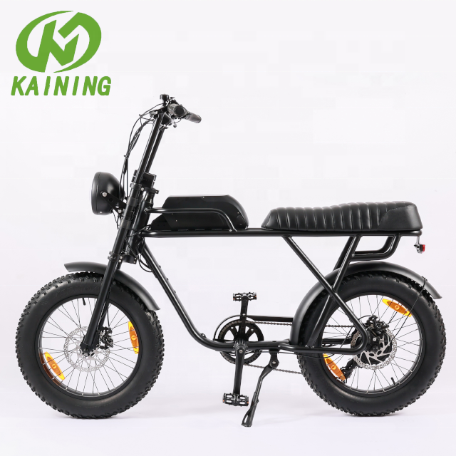 KAINING Brand TOP 2022 New Design Mountain Bike Electric Bicycle for Adult Snow Beach Fat Tire Bicycle Aluminum Alloy