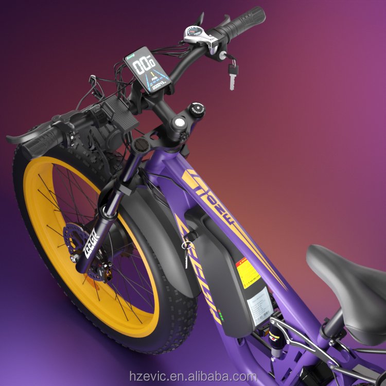 Wholesales 48V 2000W 1000W 22.4Ah Dual Suspension Hydraulic Disc Brake E Bike Electric Bicycle Ebike Mountain Electric Bike