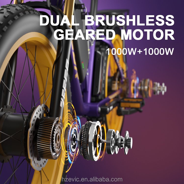 Wholesales 48V 2000W 1000W 22.4Ah Dual Suspension Hydraulic Disc Brake E Bike Electric Bicycle Ebike Mountain Electric Bike