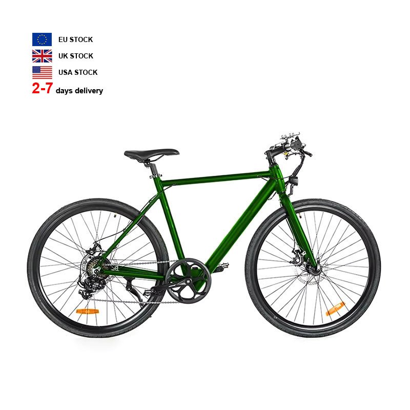 ZODIN OEM 36V Rear Motor Electric City Bike with LCD Display Fashionable EV Bike