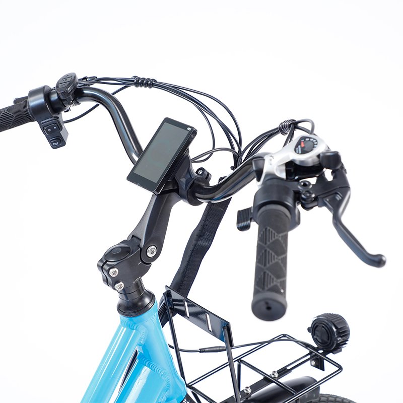 26-Inch 17.5AH Power City Electric Bike with Variable Speed 48V 250W Aluminum Alloy Frame Disc Brake Tube Battery CE Certified