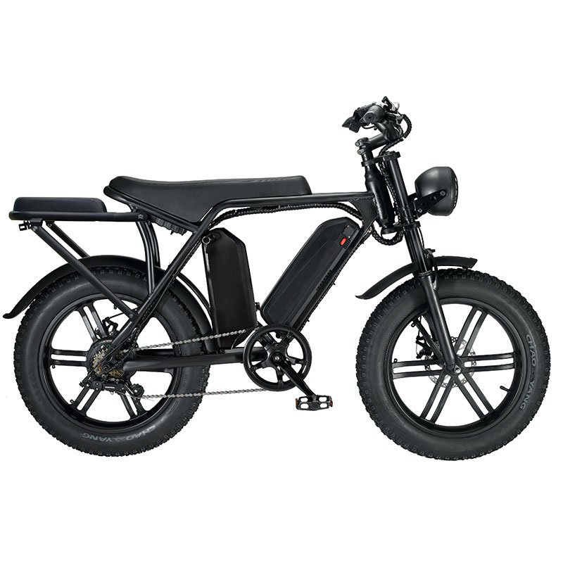 EU UK US Poland Warehouse Bicicleta Electrica Retro Ebike 1000w 48v 15ah 30ah Dual Battery Electric Bicycle Electric City Bike