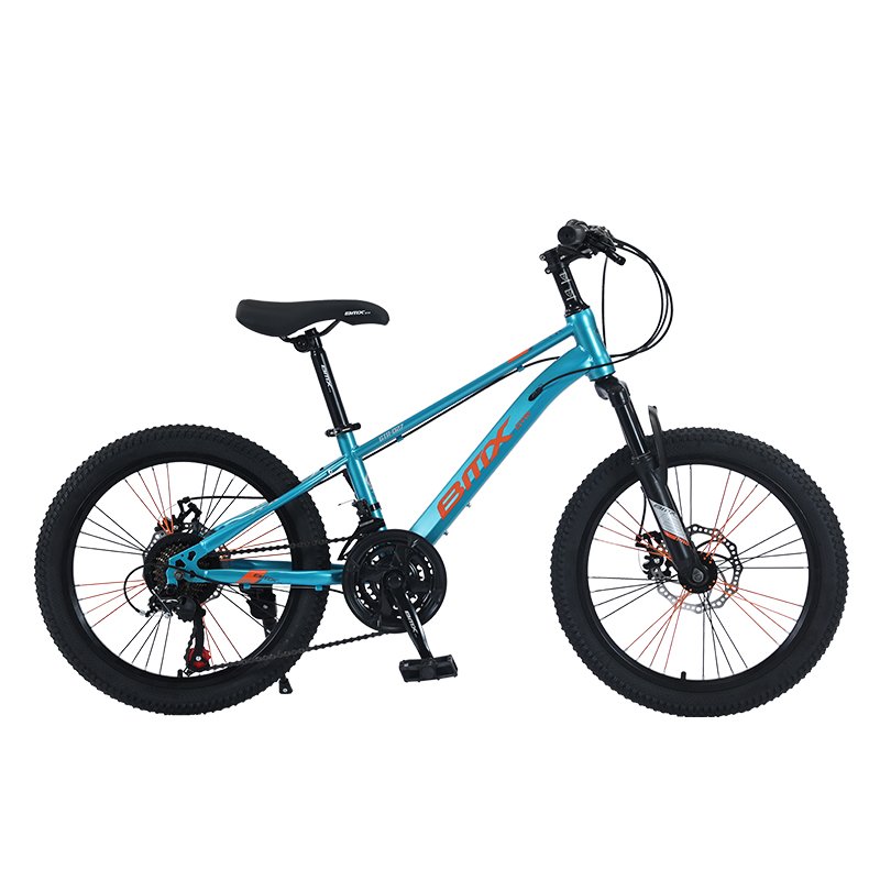 Tianjin Factory 20 inch BMX Downhill Big Tyre Cycle 21 Speed Disc Brake Women Mountain Bike for Adult Bicycle