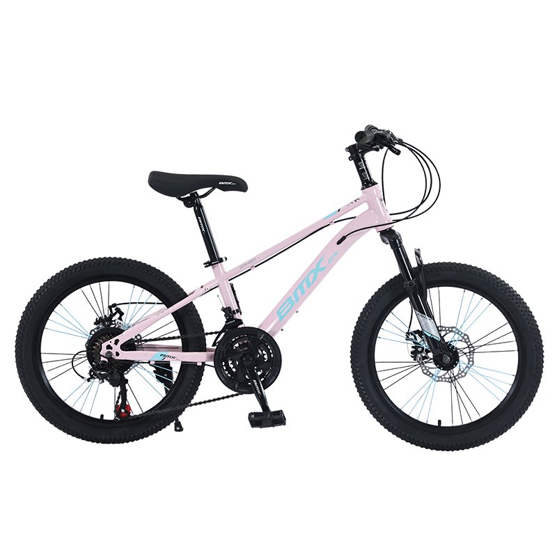 Tianjin Factory 20 inch BMX Downhill Big Tyre Cycle 21 Speed Disc Brake Women Mountain Bike for Adult Bicycle