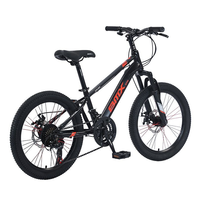 Tianjin Factory 20 inch BMX Downhill Big Tyre Cycle 21 Speed Disc Brake Women Mountain Bike for Adult Bicycle