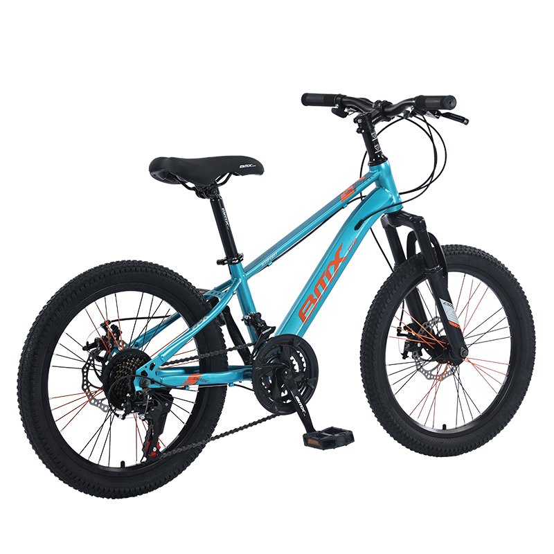 Tianjin Factory 20 inch BMX Downhill Big Tyre Cycle 21 Speed Disc Brake Women Mountain Bike for Adult Bicycle