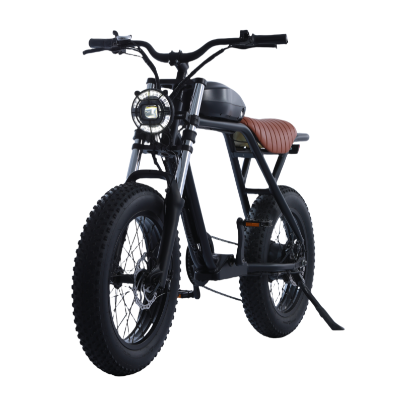 High speed 750W fat tire electric bicycle 48V disc brake electric mountain bike