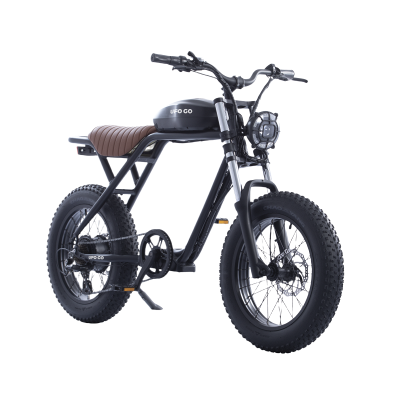 High speed 750W fat tire electric bicycle 48V disc brake electric mountain bike