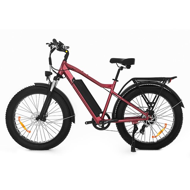 Wholesale New Arrival Aluminum Alloy Adult Dual Motor Hybrid Fat Tire Bike Electric Mountain Bike