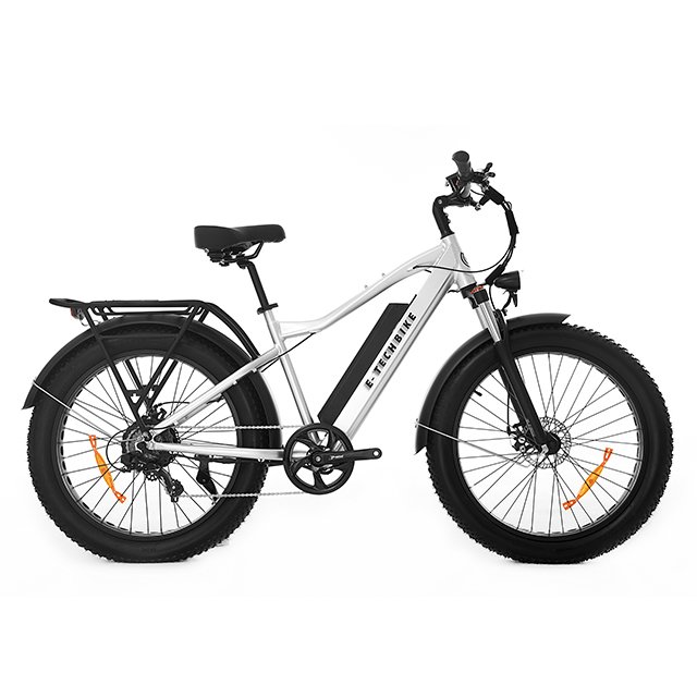 Wholesale New Arrival Aluminum Alloy Adult Dual Motor Hybrid Fat Tire Bike Electric Mountain Bike