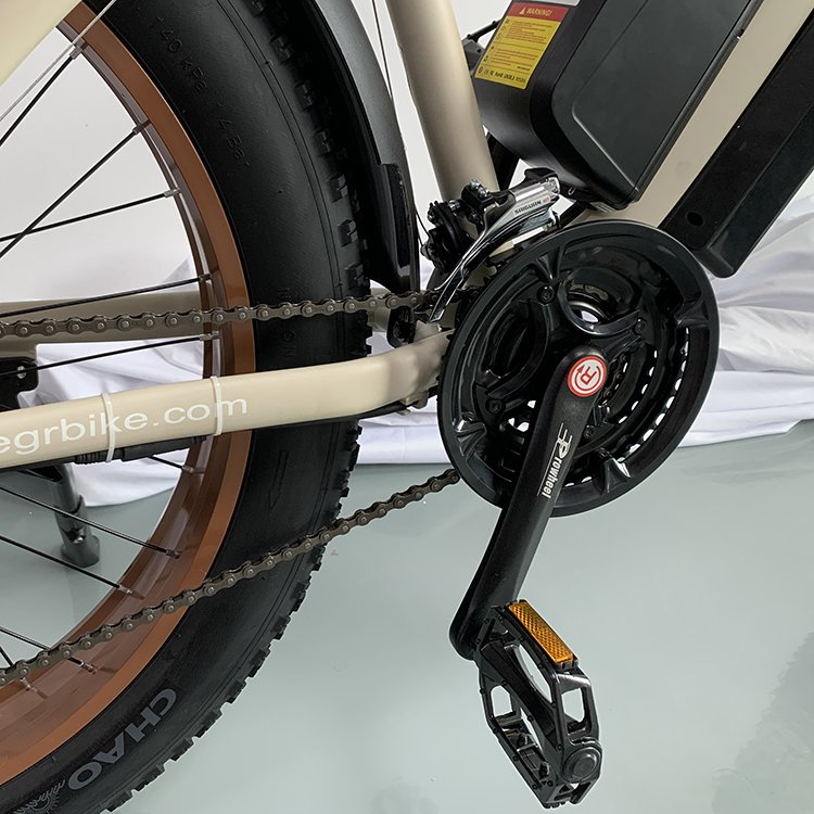Best Price 48V 1000W 26" 4.0 Inch Fat Tire Ebike Best Electric Mountain Bike