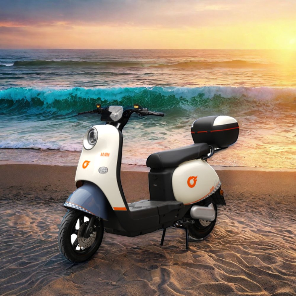 Baik Electric City Bike for Adults Powerful Fat Tire Electric Motorcycle Scooter with Big Wheel Low Price Made in China