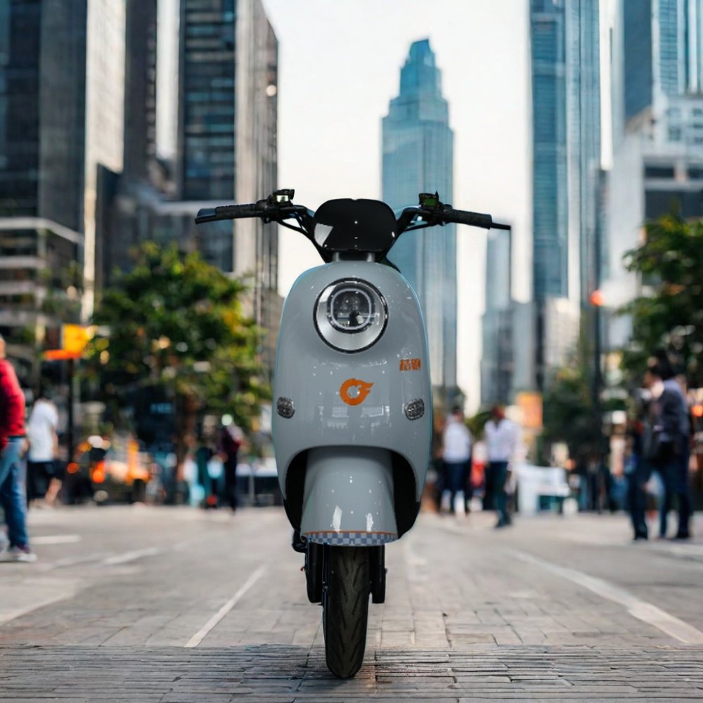 Baik Electric City Bike for Adults Powerful Fat Tire Electric Motorcycle Scooter with Big Wheel Low Price Made in China