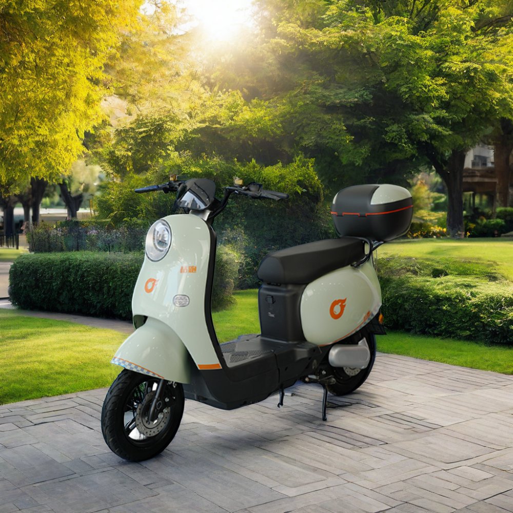 Baik Electric City Bike for Adults Powerful Fat Tire Electric Motorcycle Scooter with Big Wheel Low Price Made in China