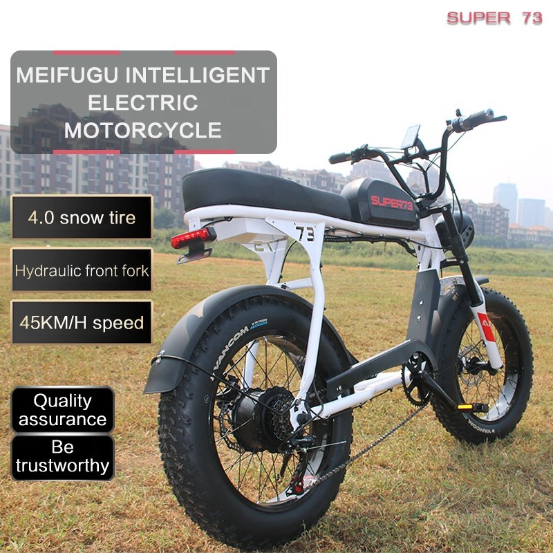 Cheap Surron Ebike Electric Bicycle Fat Tire Bike 750W Electric Hybrid E Dirt City Road Sport Bike Motorcycle For Adults