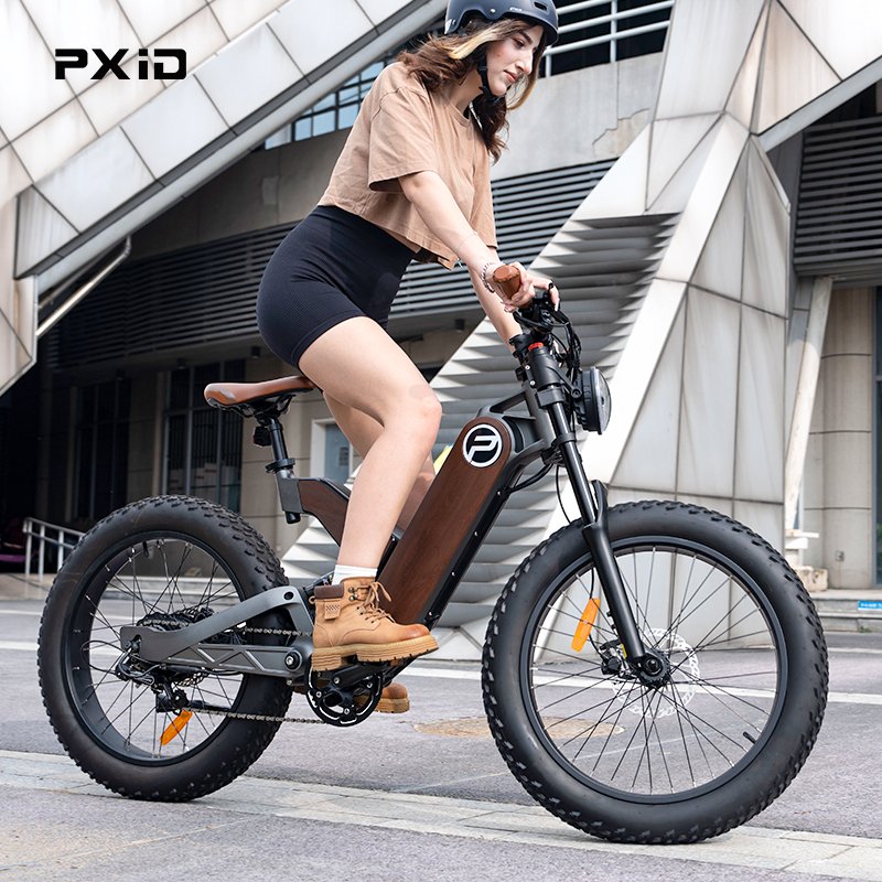 PXID ANTELOPE P5 ev cycle 48v20ah 24 inch fatbike 750 watt 48v electric mountain bike