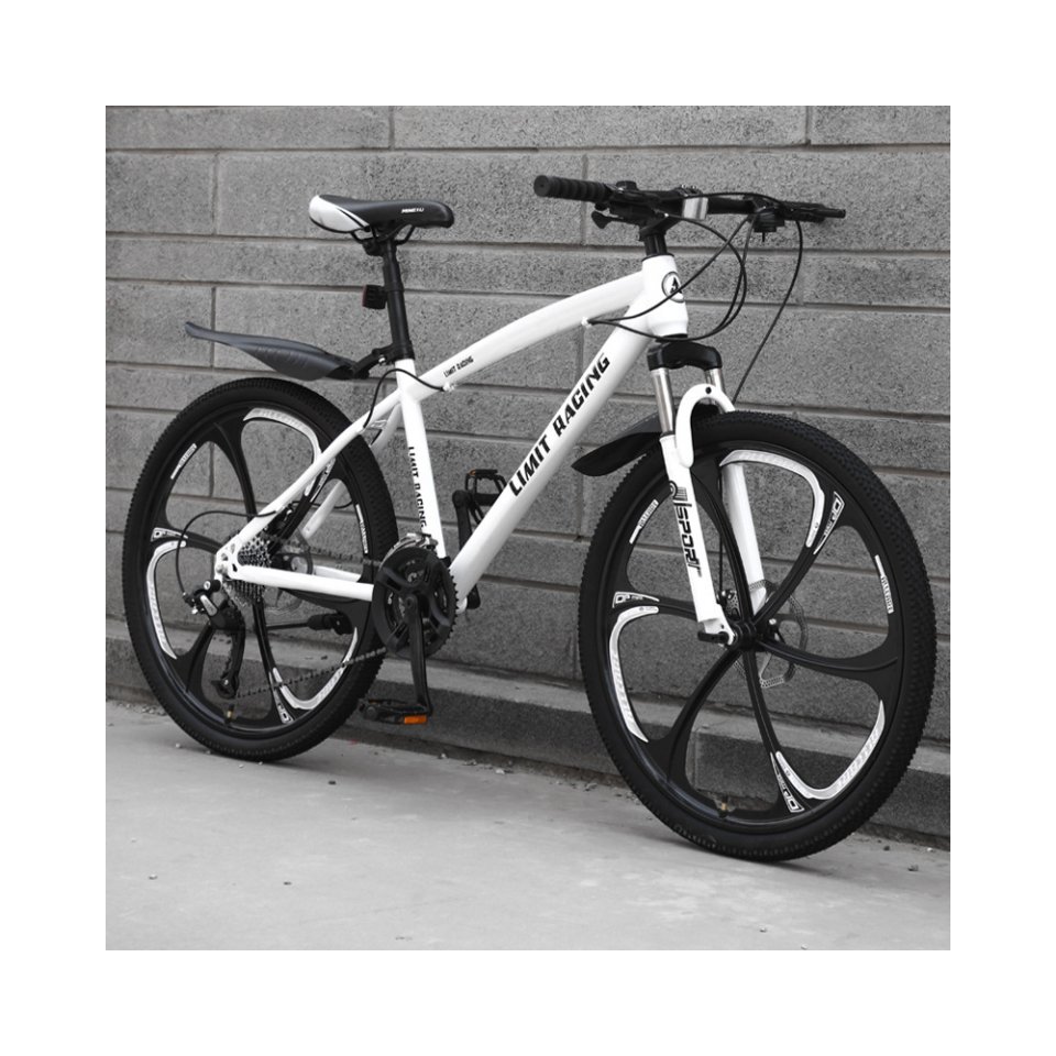 China Cheap Wholesale High-Carbon Steel Cool Sport Bicycles MTB Men Racing Mountain Bike Bicycle For Sale