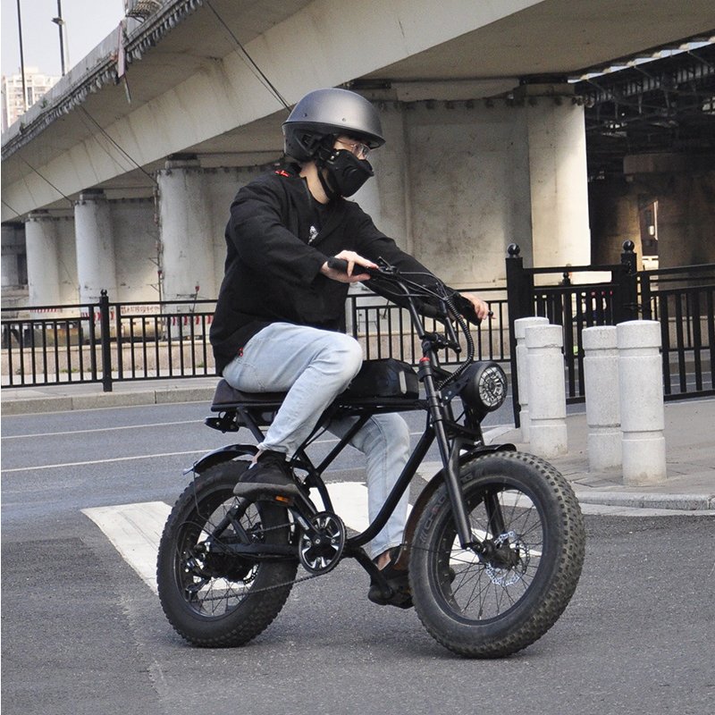 2022 new arrival Vintage 500w E Bike 20inch 7 speed Adult electric dirt bike