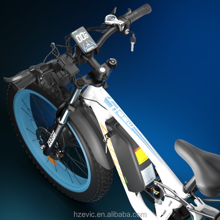 Zeegr 26 Inch 48V 2000W Fat Tire Snow E-Bike Electric City Bike Electric Dirt Bike Bicycle