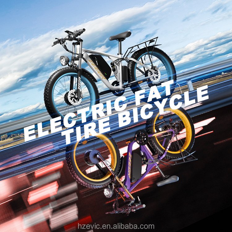Zeegr 26 Inch 48V 2000W Fat Tire Snow E-Bike Electric City Bike Electric Dirt Bike Bicycle