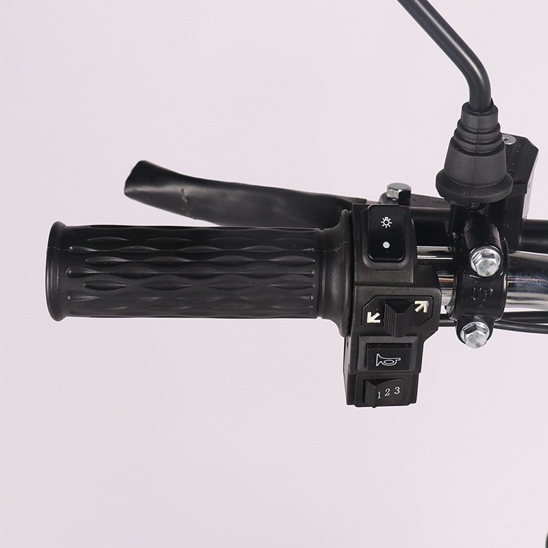 Aluminum alloy frame monster 60V21Ah electric bike 16inch winter tyres 500W 800W hybrid city scooter electric freight bicycle